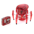 Hexbug Spider (Random Color)