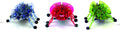 Hexbug 02865 Beetle (Random Color)