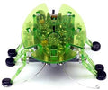Hexbug 02865 Beetle - Green