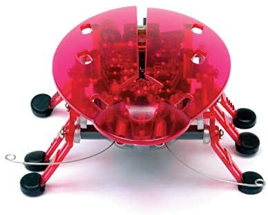 Hexbug 02865 Beetle (Random Color)