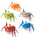 Hexbug Scarab / Beetle Assortment