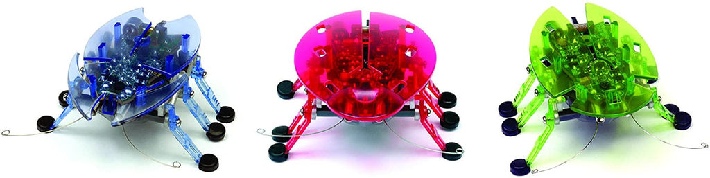 Hexbug Scarab / Beetle Assortment