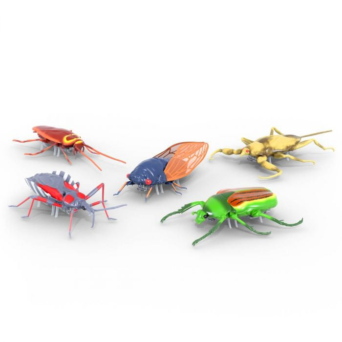 Hexbug 477-7676 Real Bugs Nano - 5 Pack
